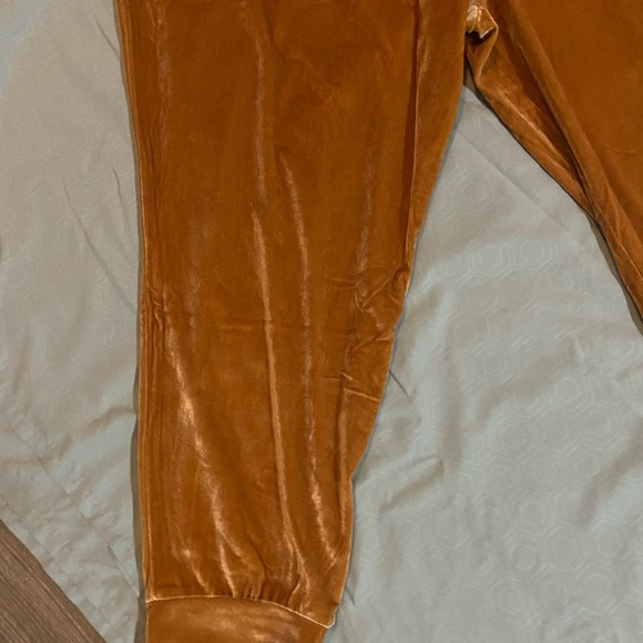 Fabletics Daria Velour Jogger - Picture 3 of 15